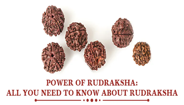 Rudraksha And Their Importance In Your Life
